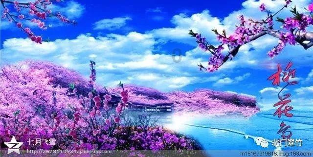 逃离梦想花园